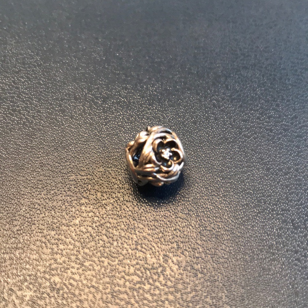 Pandora Charm